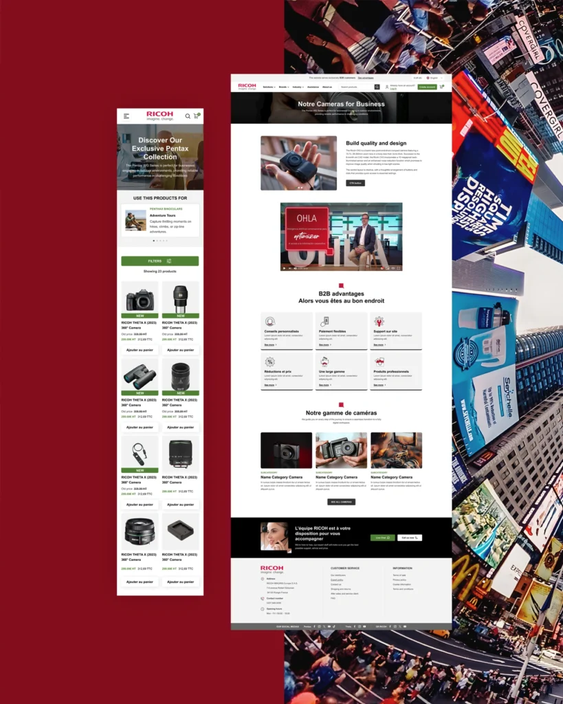 Plateforme e-commerce pour clients professionnels