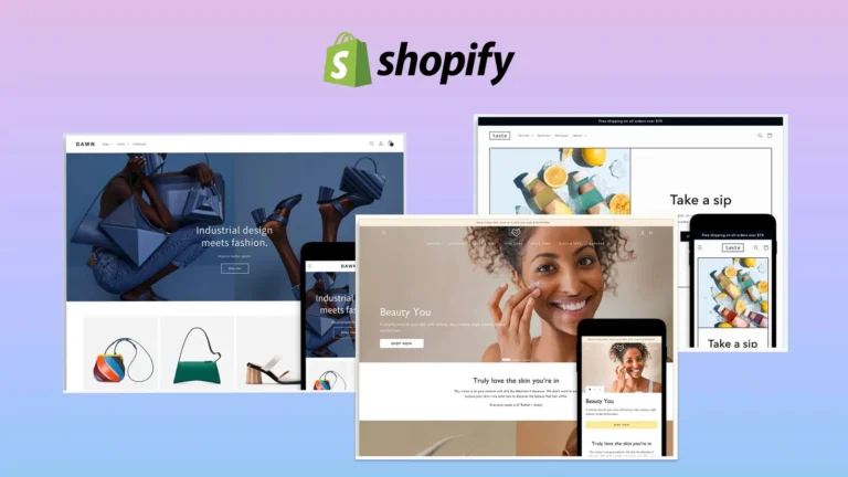 Ecommerce Themes
